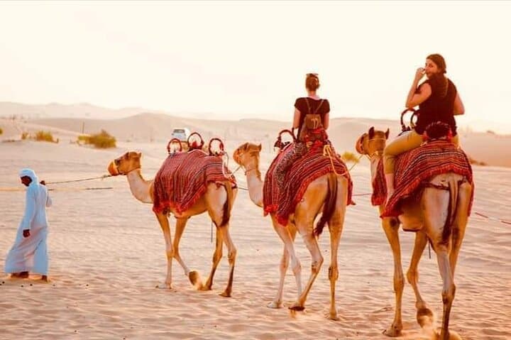 Dubai Evening Desert Safari: Dune Bashing, Camel Rides & BBQ Under the Stars photo 1