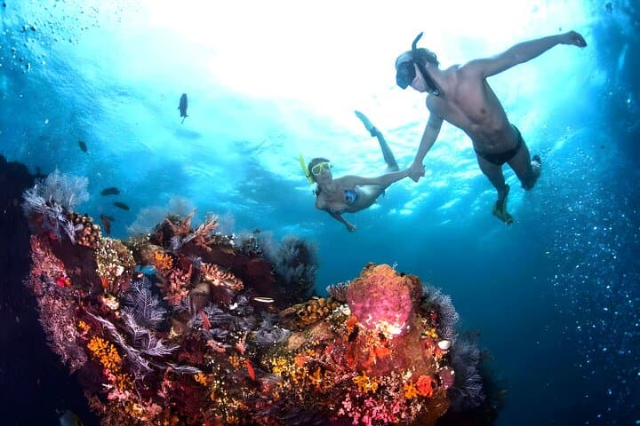 Blue Lagoon Padangbai Snorkeling Tour — Calm Reefs & Macro Underwater Photography photo 4