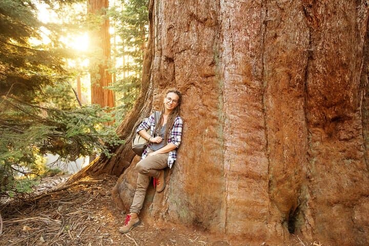 Private Day Tour to Yosemite's Natural Wonders from San Jose photo 6