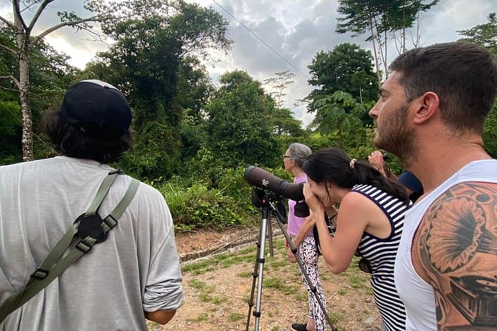 Private 3-Hour Birdwatching in Uvita & Ojochal — Guided Wildlife Tour photo 1