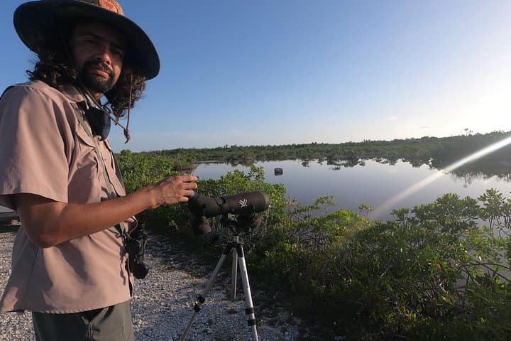 Private 3-Hour Birdwatching in Uvita & Ojochal — Guided Wildlife Tour photo 2