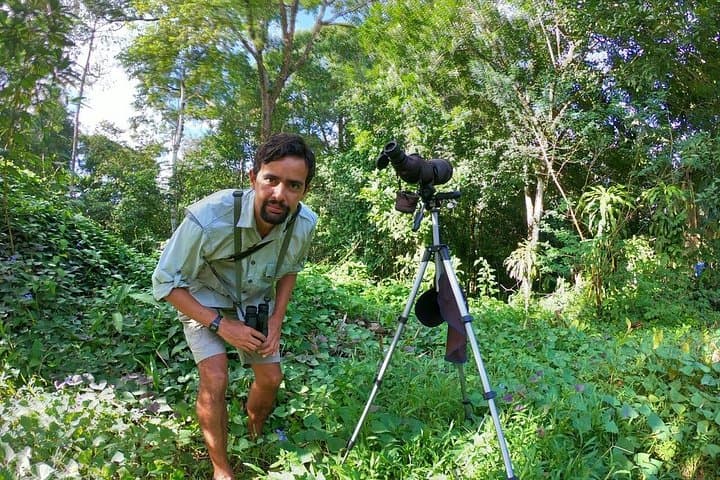Private 3-Hour Birdwatching in Uvita & Ojochal — Guided Wildlife Tour photo 4