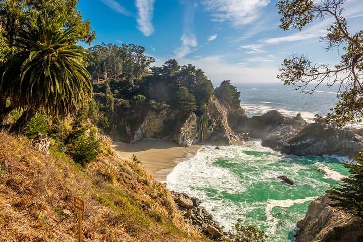 Big Sur & Monterey Private Day Tour from San Jose: Drive, Redwoods, and McWay Falls photo 3