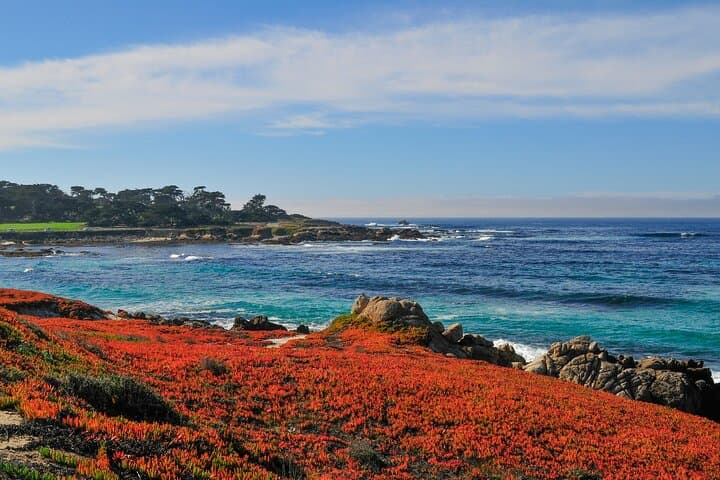 Big Sur & Monterey Private Day Tour from San Jose: Drive, Redwoods, and McWay Falls photo 6