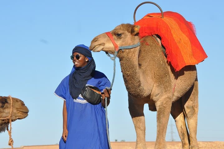 Palm Grove Camel Ride in Marrakech — 2-Hour Palmeraie Experience with Tea