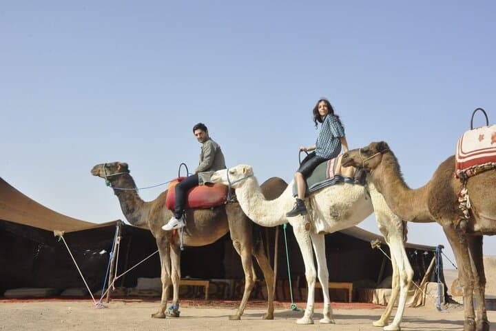 Palm Grove Camel Ride in Marrakech — 2-Hour Palmeraie Experience with Tea photo 2