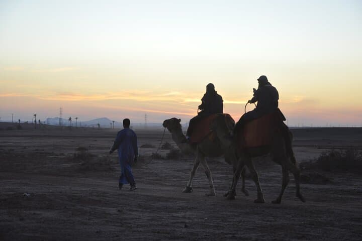 Palm Grove Camel Ride in Marrakech — 2-Hour Palmeraie Experience with Tea photo 3