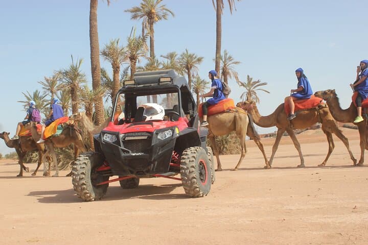Palm Grove Camel Ride in Marrakech — 2-Hour Palmeraie Experience with Tea photo 4