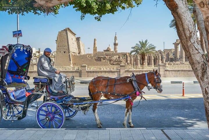 Private 3-Hour Horse Carriage Ride Along Luxor's Nile Corniche