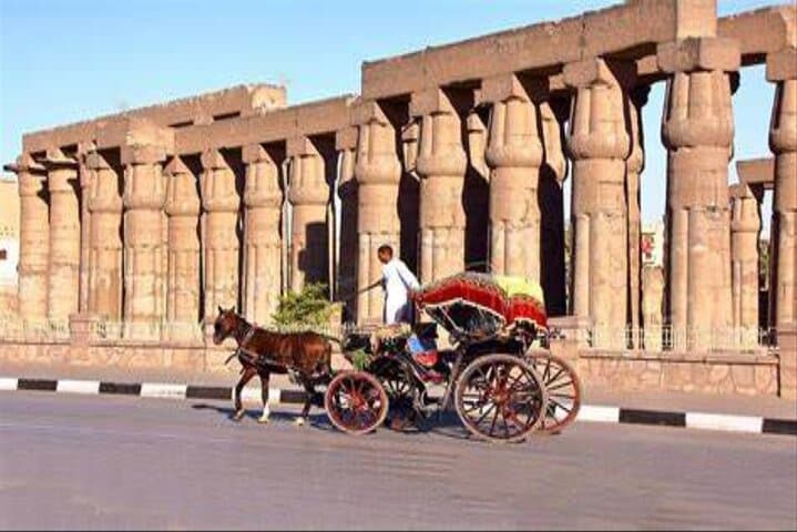 Private 3-Hour Horse Carriage Ride Along Luxor's Nile Corniche photo 3