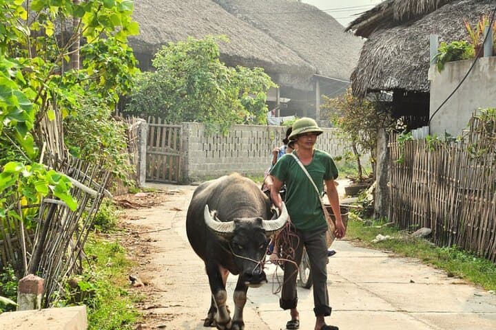 4-Day Hoang Su Phi Trek: Terraced Rice Fields & Dao Homestay Adventure photo 3
