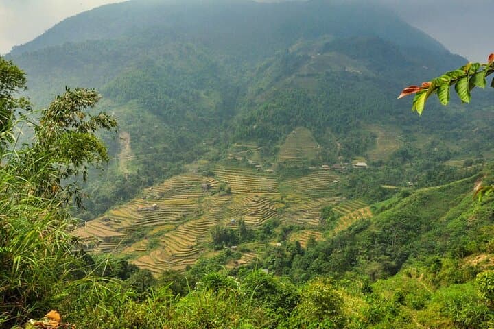 4-Day Hoang Su Phi Trek: Terraced Rice Fields & Dao Homestay Adventure photo 5