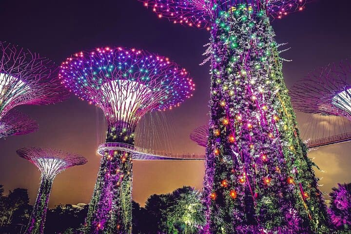 Gardens by the Bay & Jurassic World Experience — Cloud Forest, Flower Dome & Garden Rhapsody photo 2