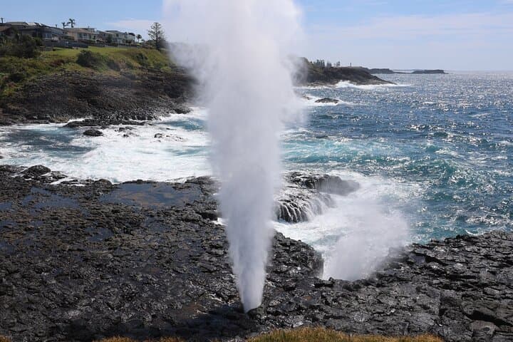 Kiama Blowholes to Sea Cliff Bridge: Private Coastal Tour from Sydney photo 4