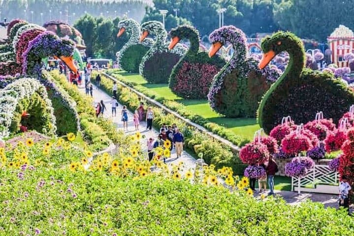 Dubai Miracle Garden Skip-the-Line: Explore the World's Largest Flower Garden photo 5