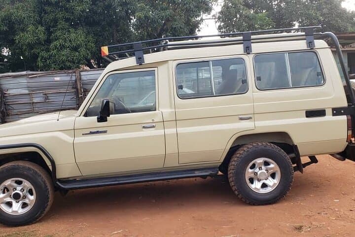 Uganda 7-Day Mid-Range Safari: Gorilla & Chimp Trekking, Game Drives and Kazinga Boat Cruise photo 5
