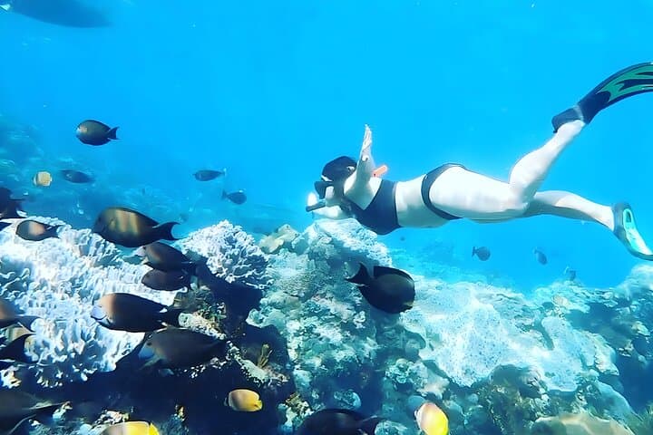 Snorkel Nusa Penida: Mantas, Turtles & Atuh Beach Day Trip from Bali