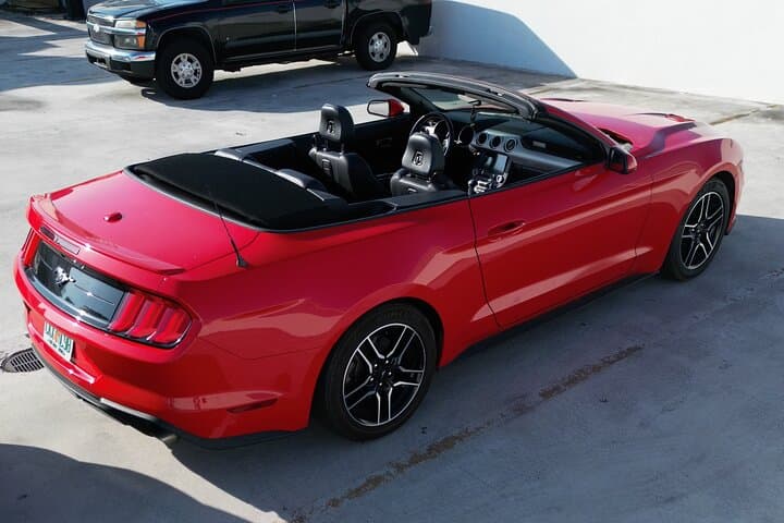 Drive a Mustang Convertible in Miami — Keys, Everglades & Ocean Drive