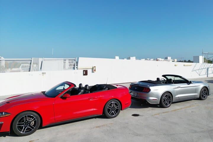 Drive a Mustang Convertible in Miami — Keys, Everglades & Ocean Drive photo 2