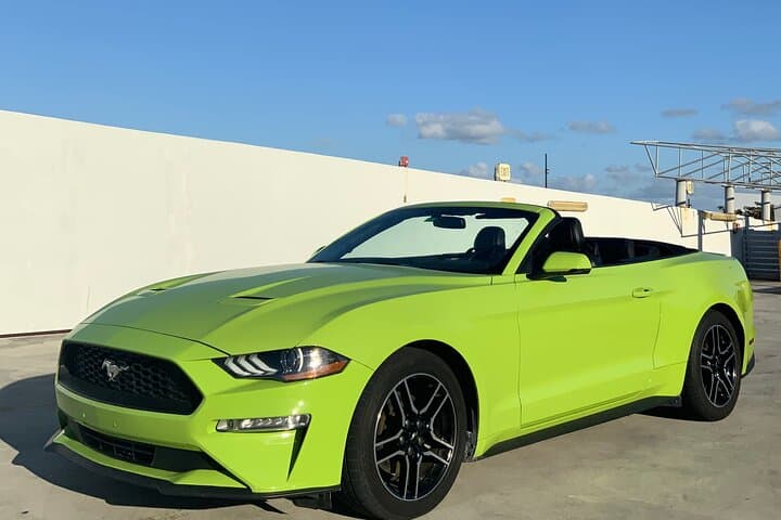 Drive a Mustang Convertible in Miami — Keys, Everglades & Ocean Drive photo 3
