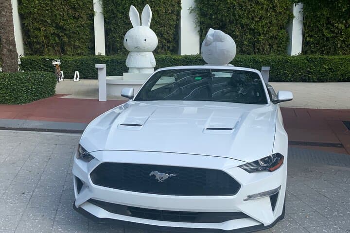 Drive a Mustang Convertible in Miami — Keys, Everglades & Ocean Drive photo 4