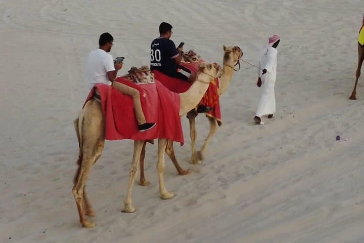 Sealine Desert Private Horseback Ride: Arabian Horses Near Doha photo 5
