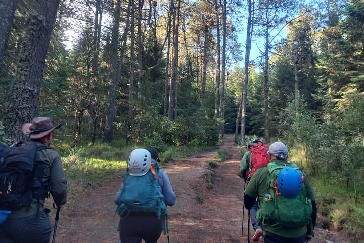 Summit La Malinche: Guided Volcano Hike from Puebla photo 5