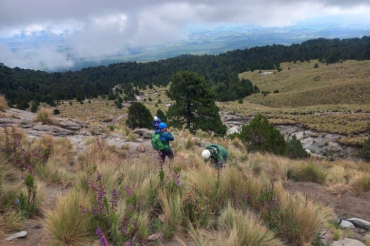 Summit La Malinche: Guided Volcano Hike from Puebla photo 6