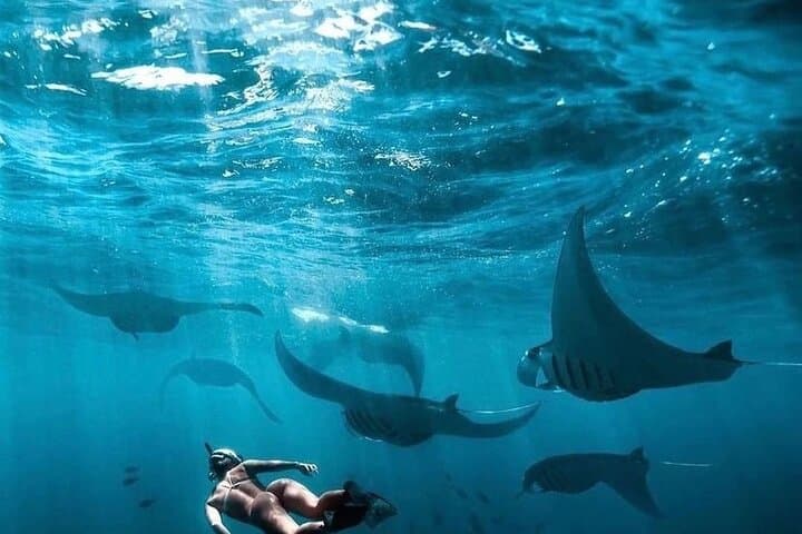 Full-Day Nusa Penida East & West Tour with Snorkeling: Kelingking, Diamond Beach & Manta Bays