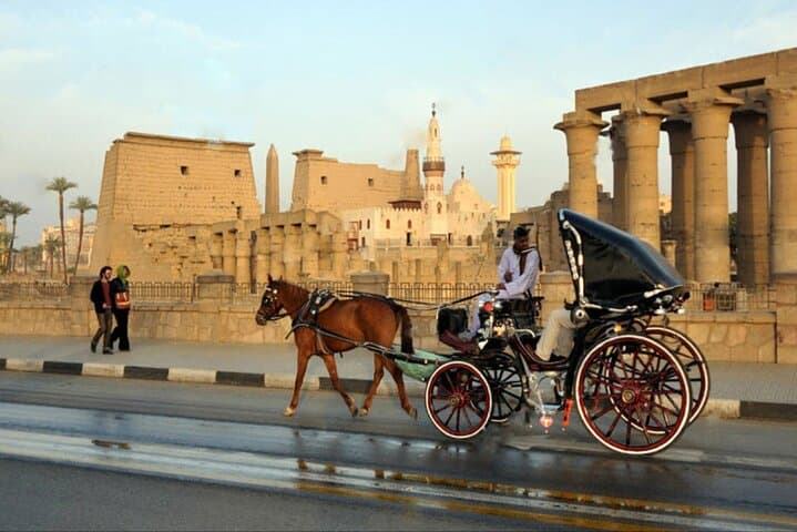 Horse Carriage Tour Along Aswan Corniche: Private 2-Hour Cultural Ride photo 5