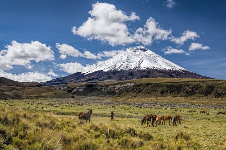 8 Days in Ecuador: Quito, Cotopaxi, Quilotoa & Mindo Adventure photo 5