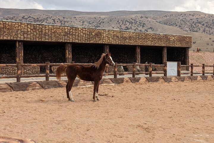 Little Petra Horseback Ride: Morning & Sunset Trail from Mountain Horse Stables photo 2