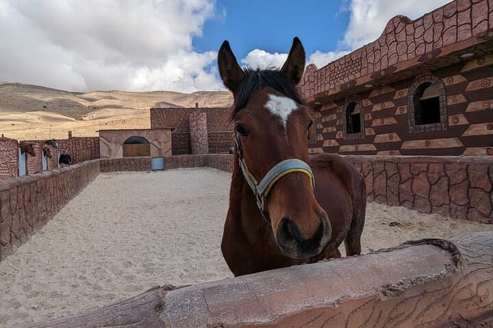 Little Petra Horseback Ride: Morning & Sunset Trail from Mountain Horse Stables photo 5