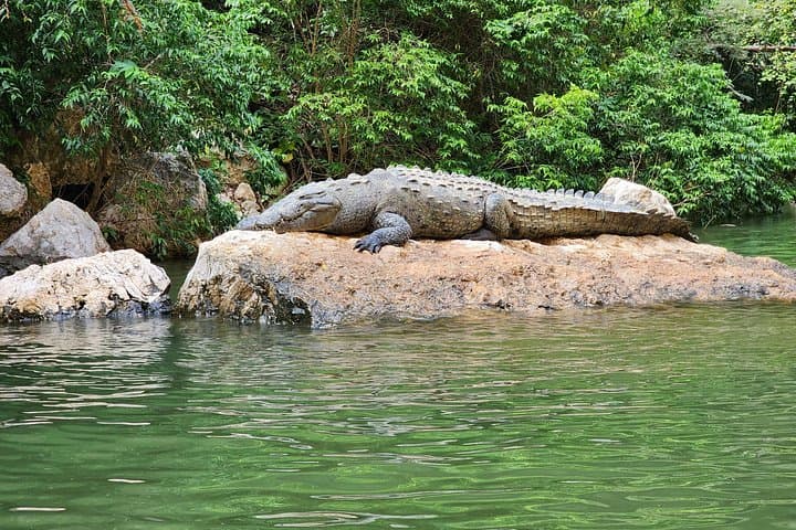 8-Day Immersive Cultural Tour of Chiapas — San Cristóbal, Sumidero & Palenque photo 4