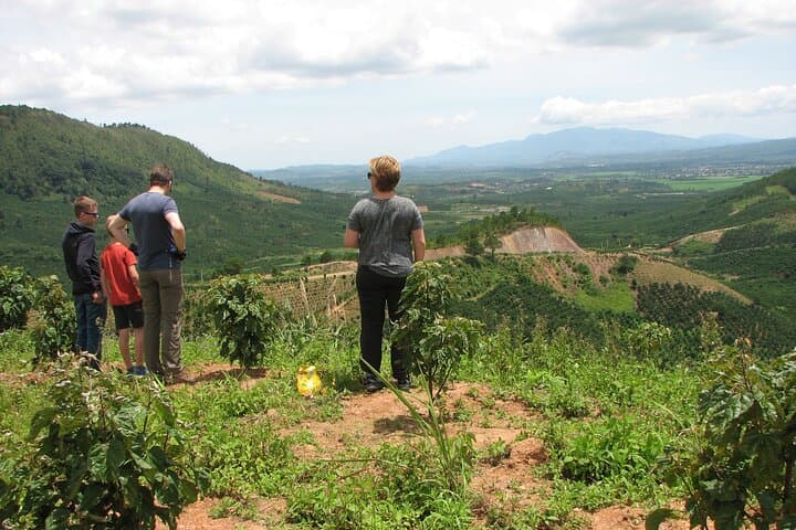 Da Lat Coffee, Wine & Tea Motorbike Tour — Cầu Đất Farms to Da Lat Winery photo 5