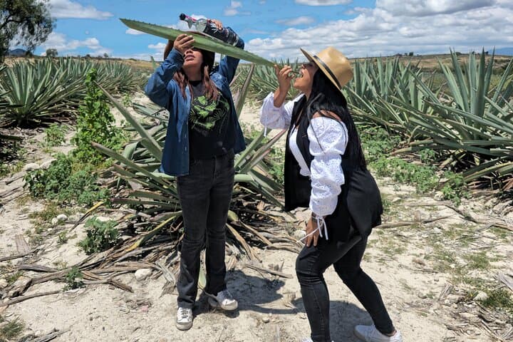 Barrel-Bus Mezcal & Pulque Tour in Oaxaca: Taste Agave Traditions Near Matatlán photo 2