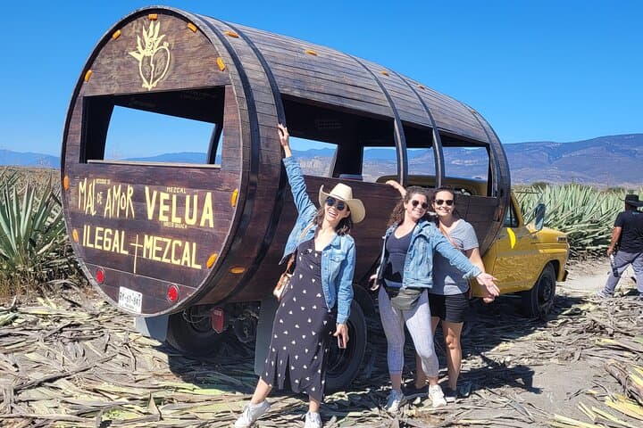 Barrel-Bus Mezcal & Pulque Tour in Oaxaca: Taste Agave Traditions Near Matatlán
