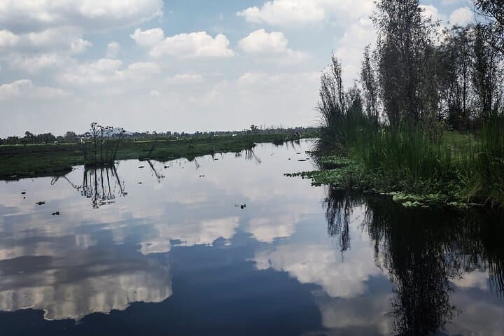 Xochimilco Canals & Chinampa Lunch: Meet Axolotls on a Private Trajinera