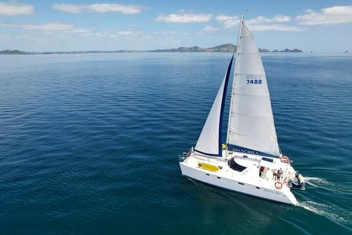 Bay of Islands Full-Day Catamaran Charter with Island Stop and Lunch photo 2