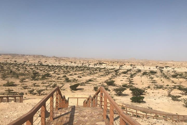 Salalah to Rub Al Khali: Full-Day Private 4x4 to the Empty Quarter & Frankincense Sites photo 3