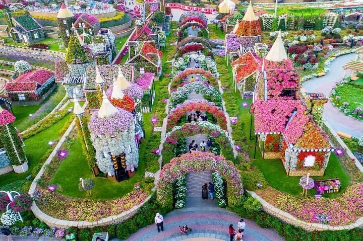 Dinner in the Sky & Miracle Garden Dubai: Sky Dining with Private Transfer photo 6