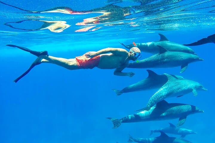 Private Hurghada Speedboat Snorkeling Trip to Giftun Islands