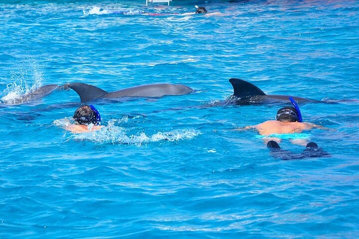 Private Hurghada Speedboat Snorkeling Trip to Giftun Islands photo 3
