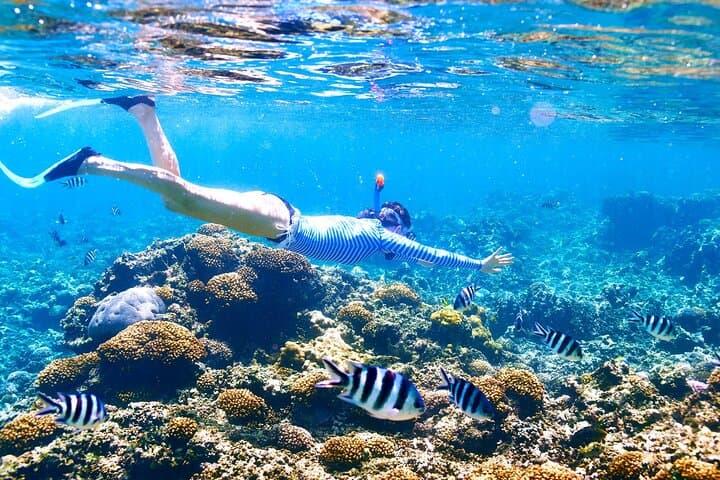 Private Hurghada Speedboat Snorkeling Trip to Giftun Islands photo 4