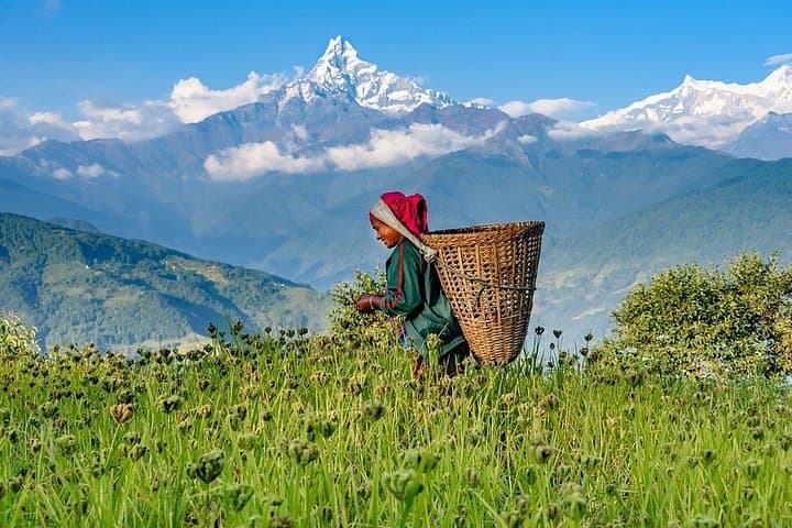 Pokhara Day Tour: Sarangkot, Dhampus, Pumdikot & World Peace Stupa Views photo 3
