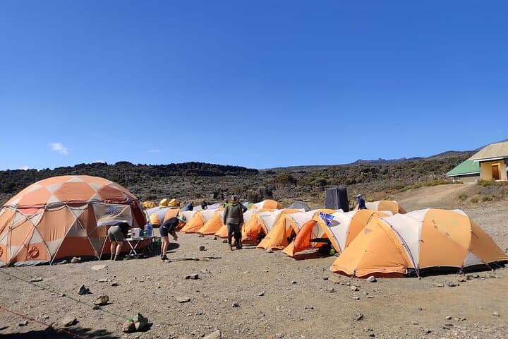 8-Day Lemosho Route Climb to Mount Kilimanjaro: Guided Summit from Moshi photo 2