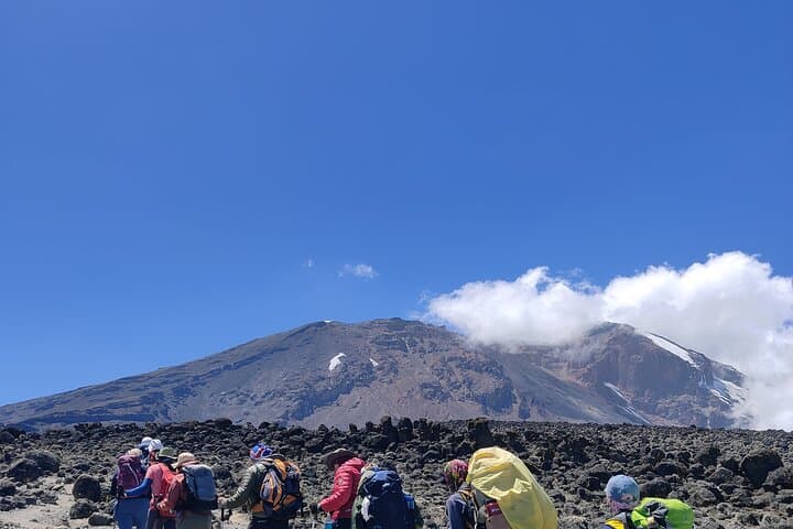 8-Day Lemosho Route Climb to Mount Kilimanjaro: Guided Summit from Moshi photo 3