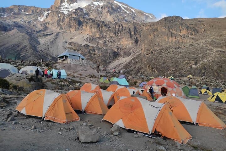 8-Day Lemosho Route Climb to Mount Kilimanjaro: Guided Summit from Moshi photo 5