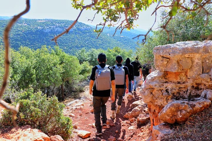 Jerash to Ajloun: Full-Day Private History and Nature Tour from Amman photo 3