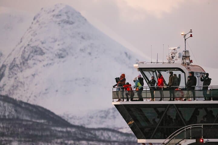 Silent Hybrid-Electric Whale Watching from Tromsø: Arctic Whale Safaris photo 4
